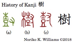 History of Kanji 樹